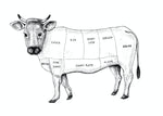 Beef Liver